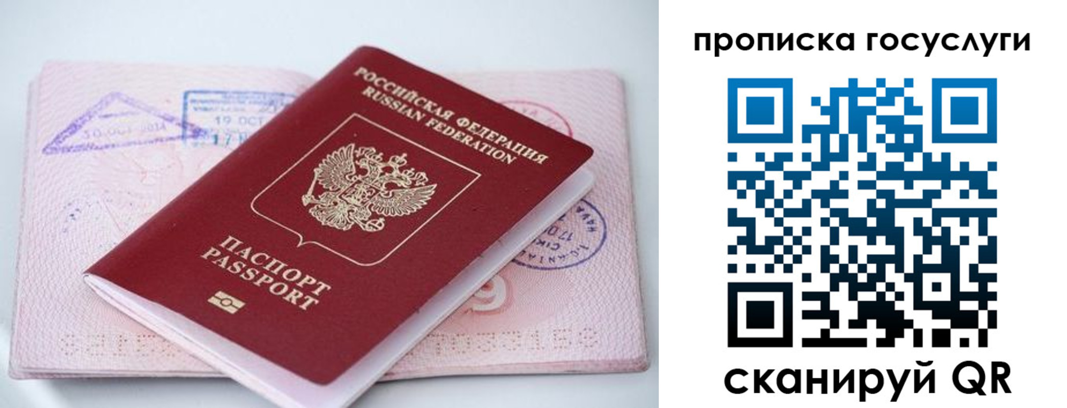 прописка законно в Тайшете